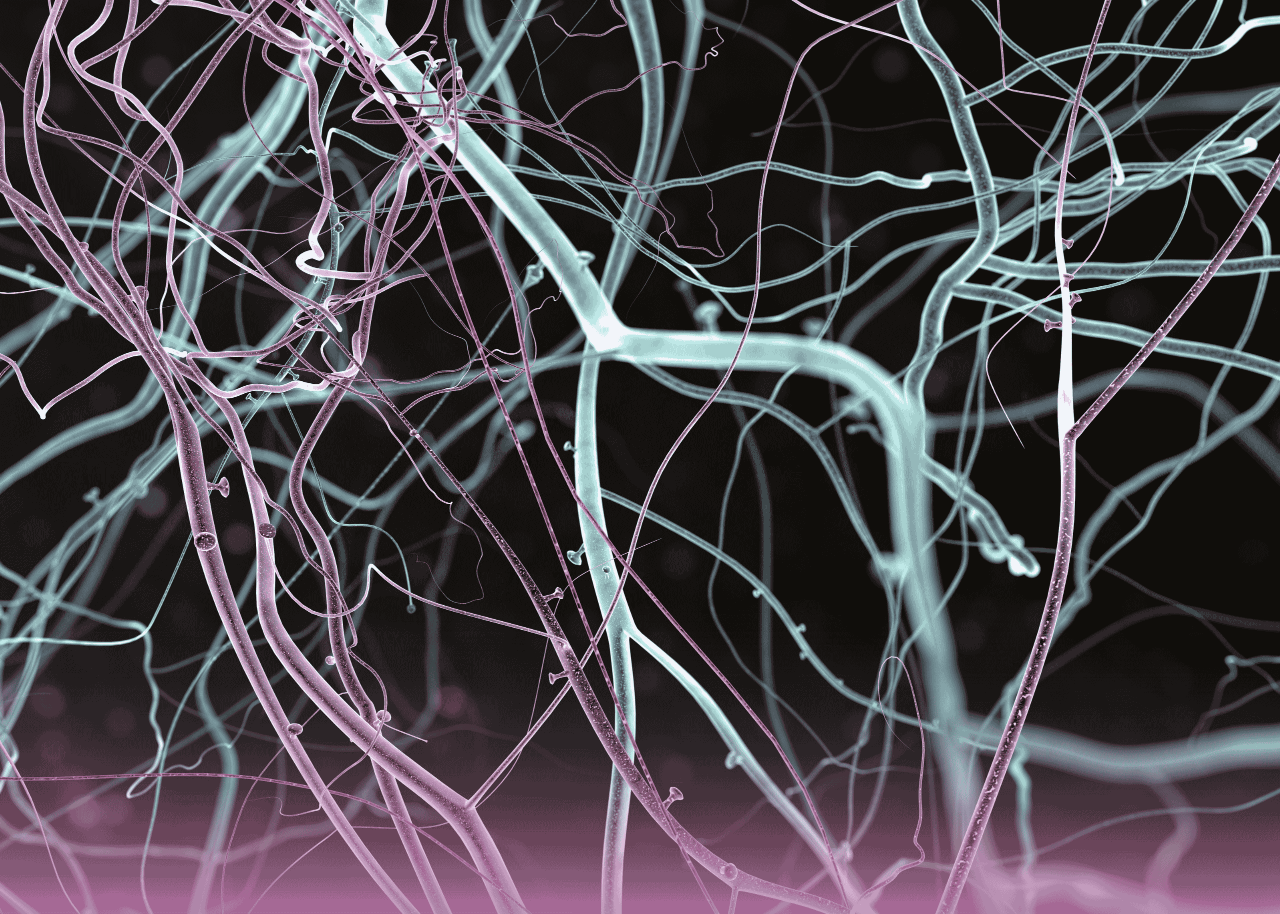 Surgical Management of Pediatric Neuroblastoma: A Complex Case Study