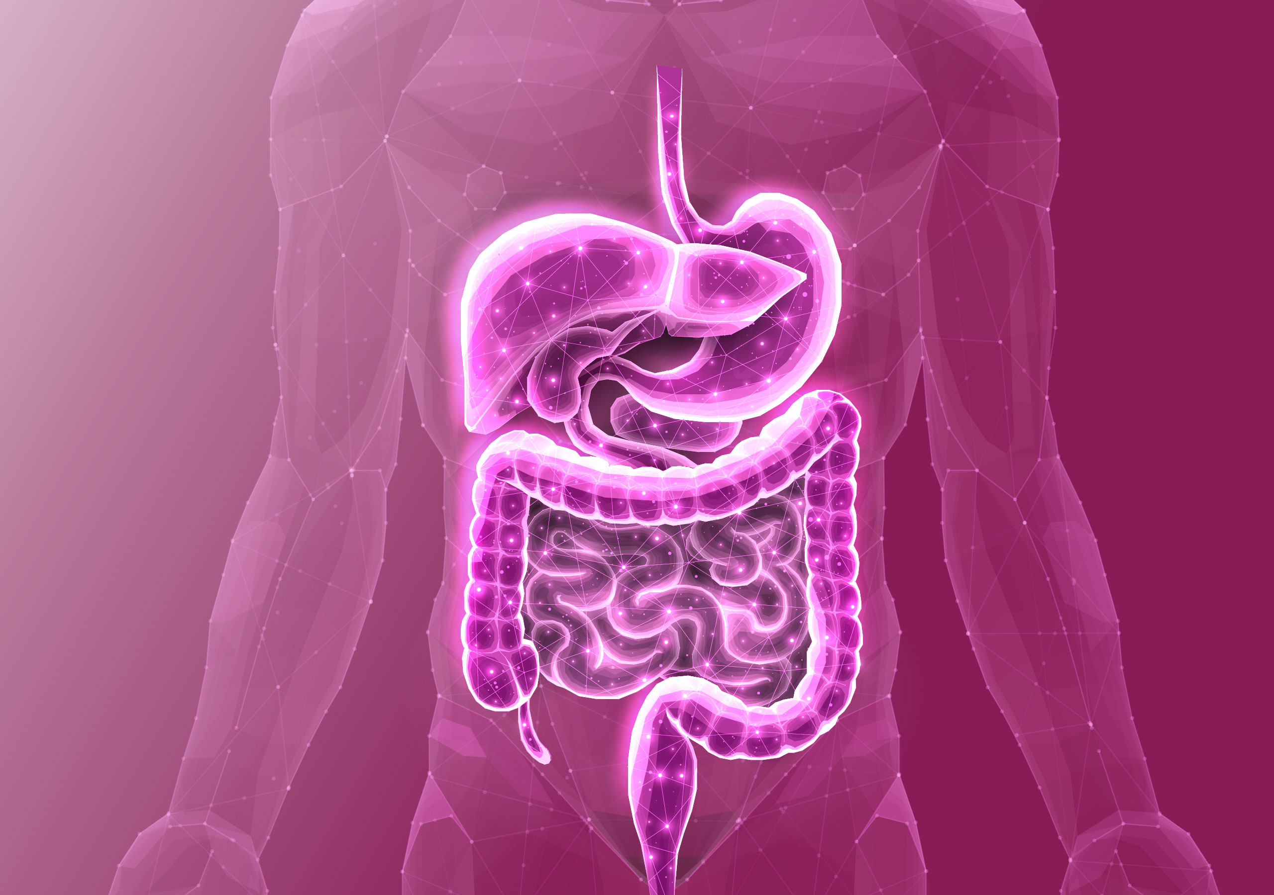 Gut Microbiome Health: Boosting Digestion for GCC Lifestyles