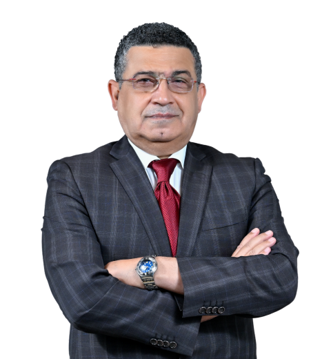 مدحت أحمد محمد السيد 