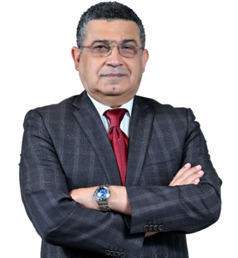 Medhat Ahmed Mohamed Elsayed 