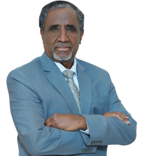 Mustafa Hamed Bashir