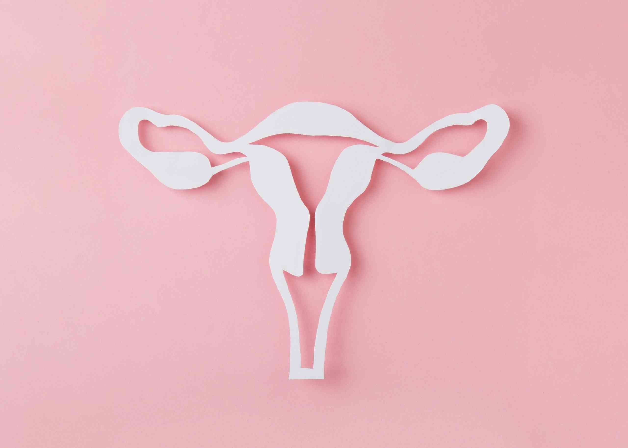 Vaginal Discharge – Symptoms, Causes & Treatment