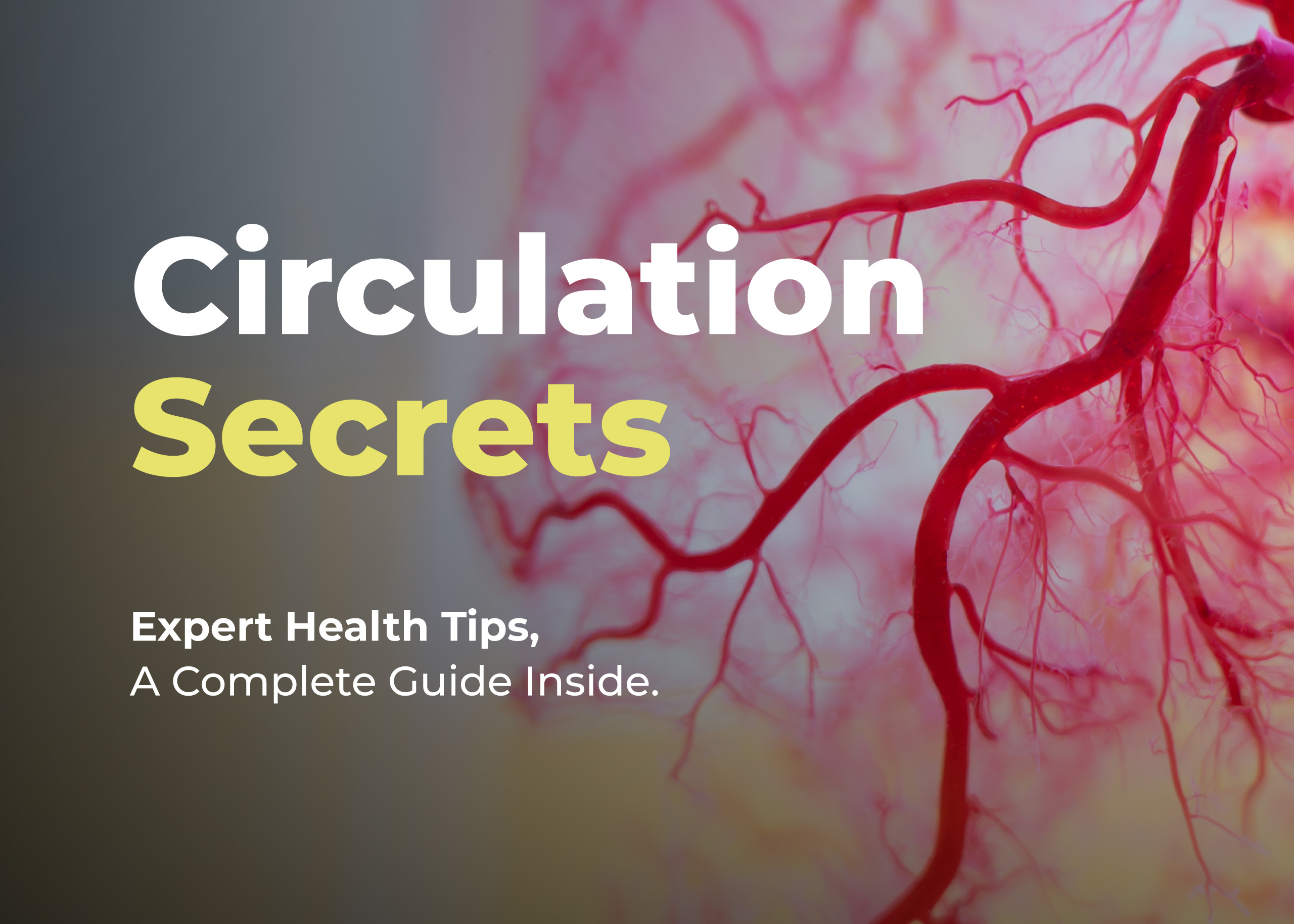 Daily Habits to Boost Vascular Wellness and Circulation 