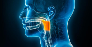 Dysphagia Management