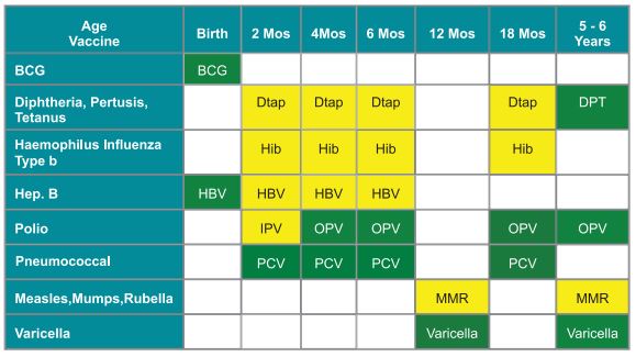 Vaccine Schedule for Children, 7 to 18 Years Old