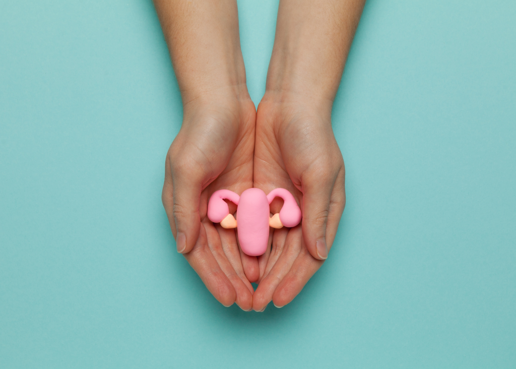 Loop Electro Excision Procedure (LEEP) Burjeel Hospital