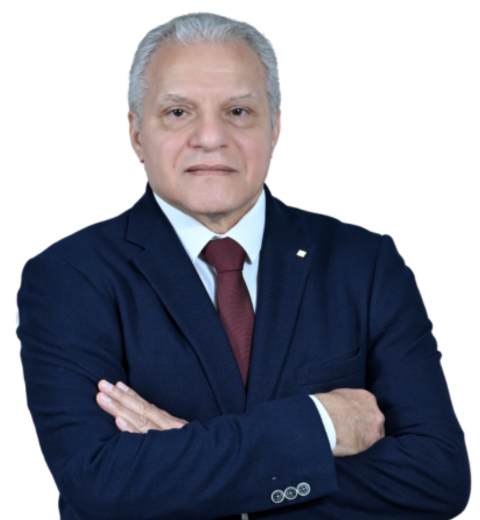 Ayman Abdelraheem Ahmed Alessawy